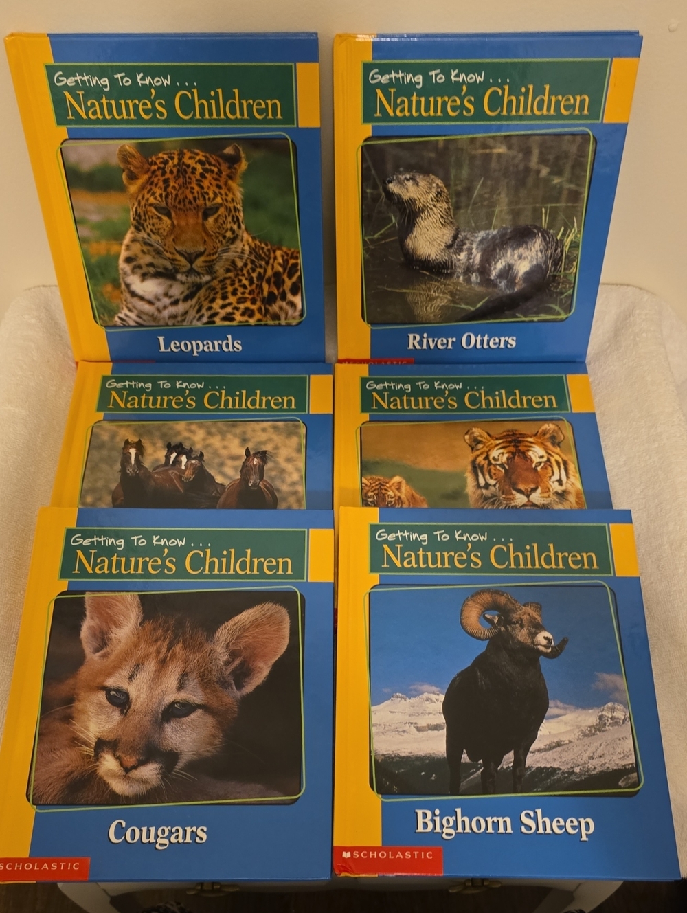 Set of 6 NEW Hardback Getting to Know Natures Children Scholastic Books